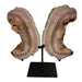 Kindred Crystal Collective — Pink Amethyst Wings, natural pink amethyst wing pair with soft blush druzy crystal surface on black metal display stands, 42cm tall
