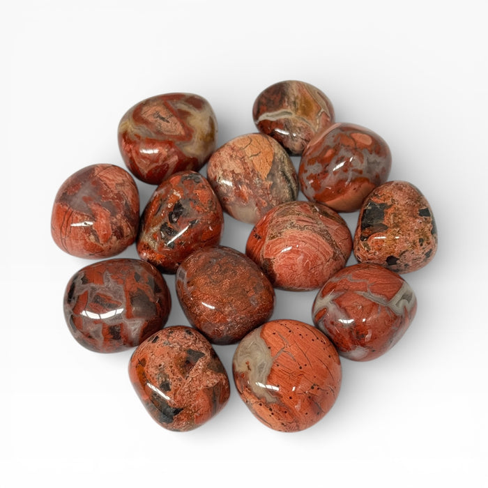 Kindred Crystal Collective — Poppy Jasper Tumbled Stones, fourteen polished warm red-orange Poppy Jasper tumbles showing bold swirling cream, dark brown and black patterns with high-gloss finish, white background