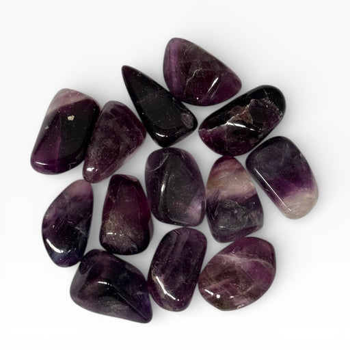 Kindred Crystal Collective — Dark Purple Fluorite Tumbled Stones, pile of polished deep near-black purple Fluorite tumbles with high-gloss mirror finish and subtle violet banding, white background
