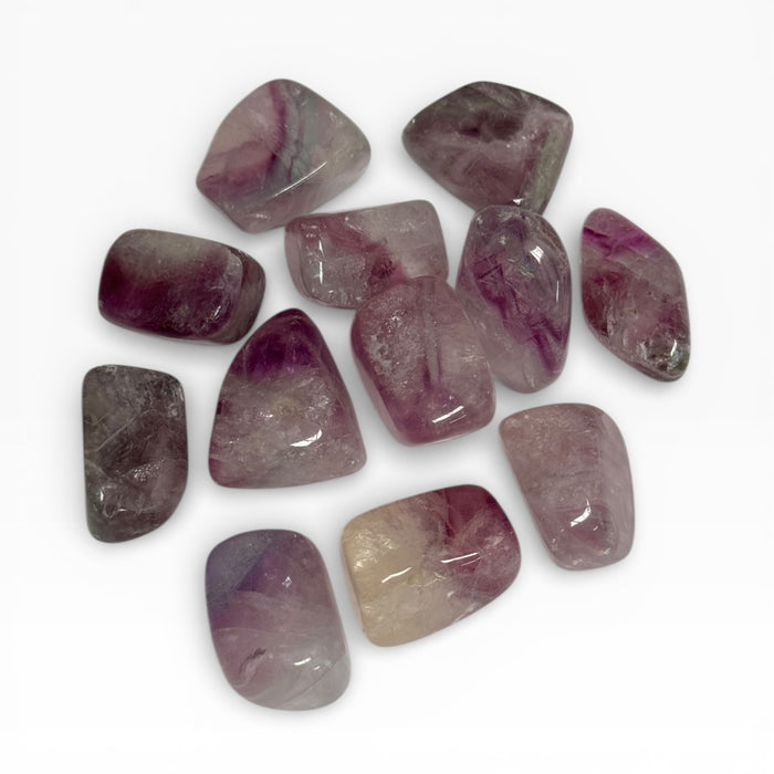 Kindred Crystal Collective — Purple Fluorite Tumbled Stones, twelve polished pale lavender to soft purple Fluorite tumbles showing translucent banding and cream-white zones with high-gloss finish, white background