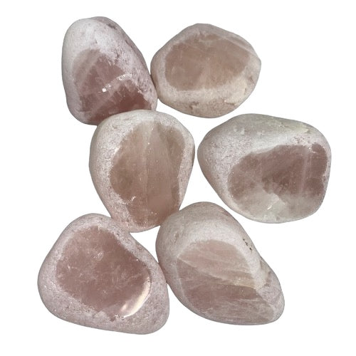 Kindred Crystal Collective — Rose Quartz Ema Eggs 3.5–4cm, six naturally tumbled river stones with frosted white exterior and flat polished window revealing pale blush pink rose quartz interior on white background