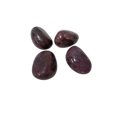 Kindred Crystal Collective — Ruby Tumbled 2–2.5cm, four polished deep burgundy-red ruby stones on white background