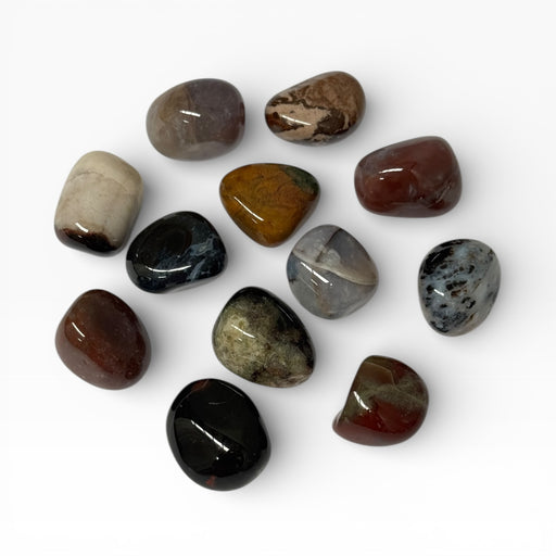 Kindred Crystal Collective — Sardonyx Tumbled Stones, twelve polished Sardonyx tumbles showing wide natural colour variation including deep red-brown, near-black, amber-yellow, grey, cream and mottled green-grey tones with high-gloss finish, white background