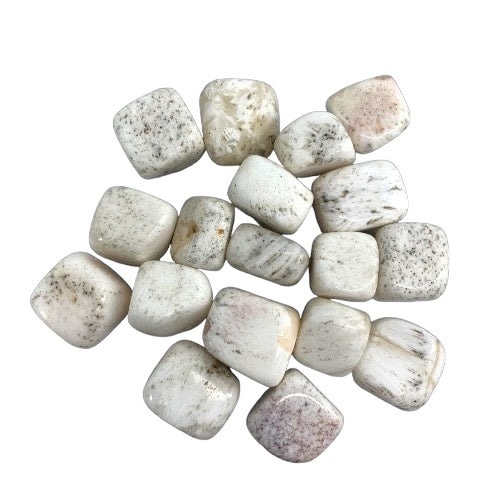 Kindred Crystal Collective — Scolecite Tumbled 1.5–2.5cm, seventeen chunky polished white to pale cream stones with fine grey-black dendritic inclusions on white background