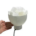 Selenite Bowl Lamp Kindred Crystal Collection