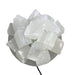 Selenite Bowl Lamp Kindred Crystal Collection