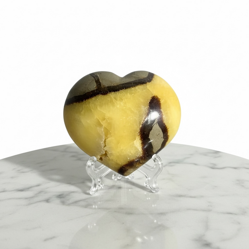 Kindred Crystal Collective — Septarian Heart, polished yellow calcite and dark brown aragonite septarian heart, white background