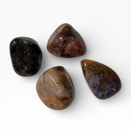 Kindred Crystal Collective — Tiffany Stone Tumbled Stones, four polished dark Tiffany Stone tumbles showing deep brown, near-black and muted purple-violet colour variation with high-gloss finish, white background