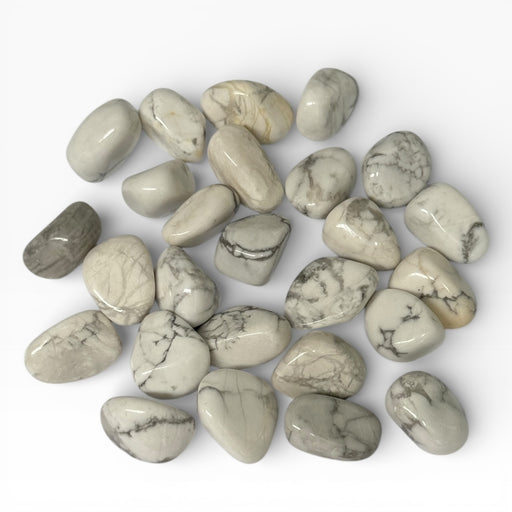 Kindred Crystal Collective — White Howlite Tumbled Stones, pile of polished white Howlite tumbles showing white to pale grey base with bold dark grey-black veining and smooth rounded form, white background