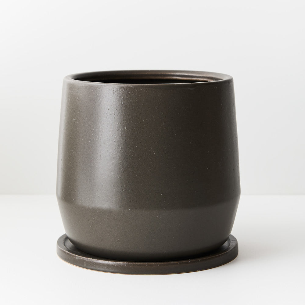 Eliza Pot in Liquorice