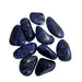 Kindred Crystal Collective — Sodalite Tumbled 2.5–3.5cm, polished deep-blue stones with pale natural veining on a white background.