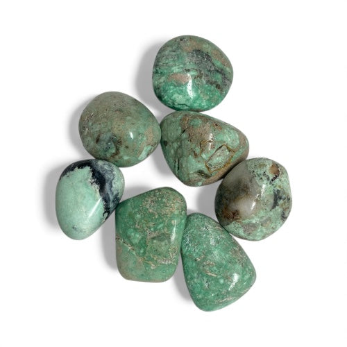 Kindred Crystal Collective — Variscite Tumbled Stones, seven polished sage to mid-green Variscite tumbles showing dark brown-black matrix veining and smooth satin finish, white background