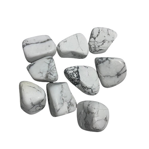 Kindred Crystal Collective — White Howlite Tumbled 3–3.5cm, soft white howlite tumbled stone with grey marble-like veining on white background