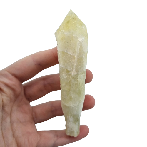 20638665_460686994294707_1955910860691482576_n