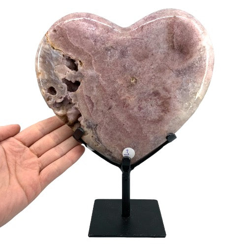 312738766_859329771872359_7681493434782115094_n