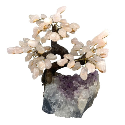 313376684_3356461647933486_1086265630142609460_n