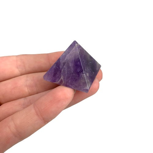 317401480_6124715887580513_196703914302717241_n