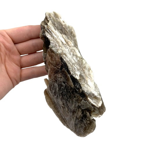 319431829_1821424748227043_6834567612827577290_n