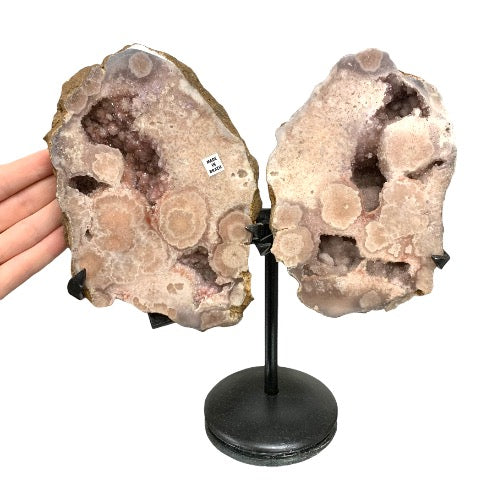 321419563_1251331475809830_5044085576827095715_n