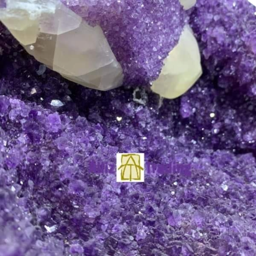 321958333_767804398273287_2692852312130362282_n