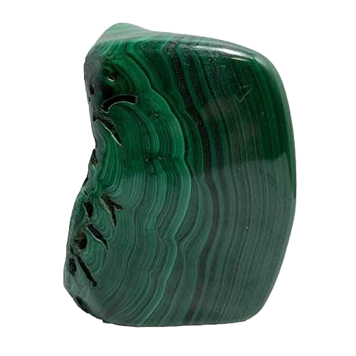 323582066_1319055815582452_6834517340006009859_n