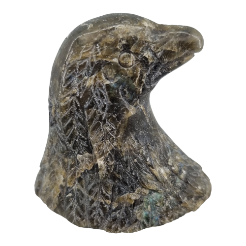 328606509_583356386720518_8199450130123172330_n