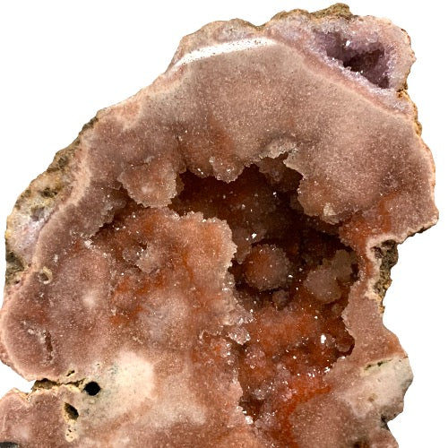 330306681_1286509365232111_3303490324312012546_n