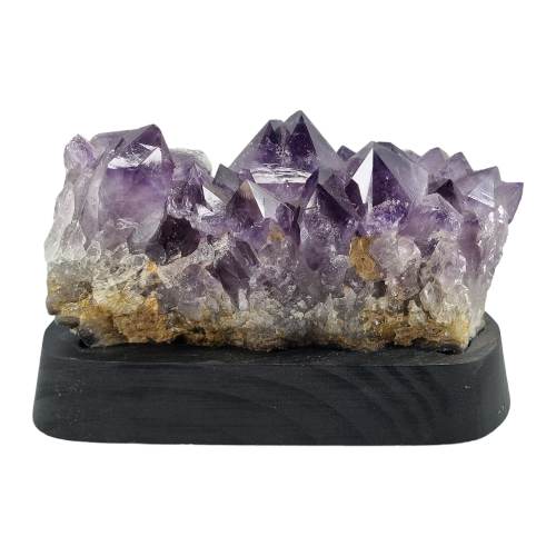 333728263_689191316316601_2669637069727407650_n