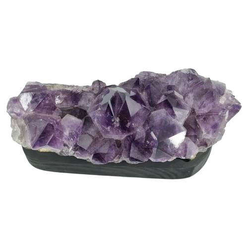 334136033_1199803340710261_8237208430516083566_n