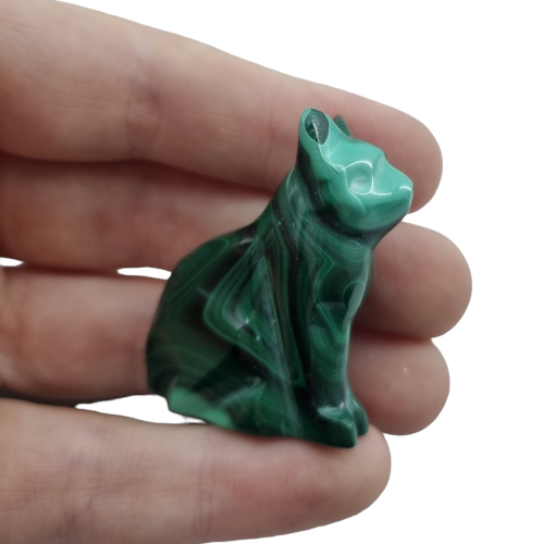 334197658_1370010317166288_2748234538907977248_n