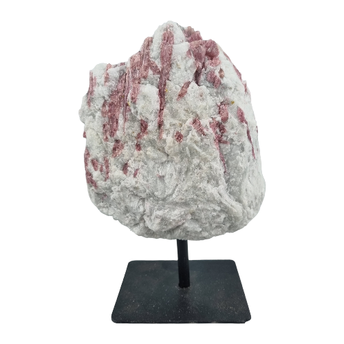 335565952_576495567747217_3695051509305406030_n