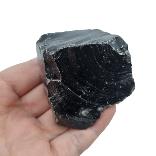 335589685_869392780786658_2022924000362770630_n