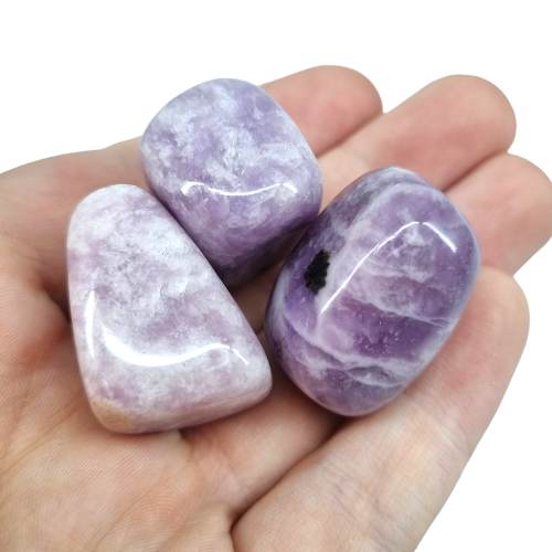 337174000_1622526671523324_4111754954373641375_n