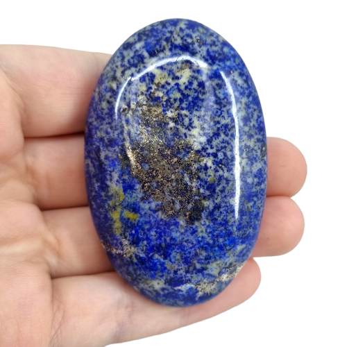 337317504_3432449333691811_9070489849713528983_n