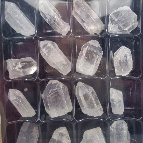 339240367_187269134127380_1674269238973339086_n