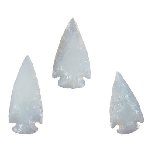 339311086_3425927627621900_6953138110385551578_n