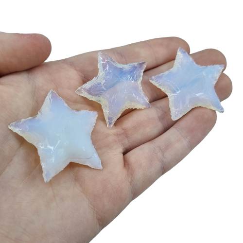 339612050_6112969572118197_6990818007878486038_n