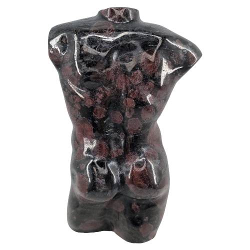 339666517_1234372733861726_62513133051613733_n