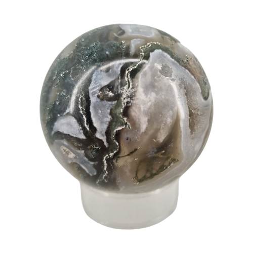 339798143_921348549130157_5090296753036195228_n