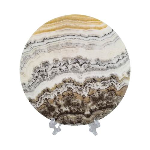 Dendritic Calcite Disk