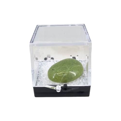 Acrylic Specimen Box