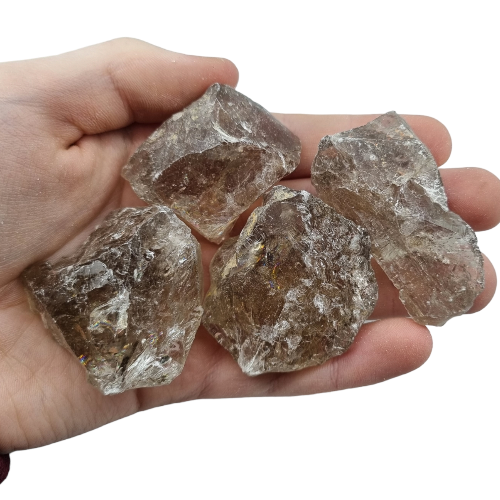 343074951_240133532035365_1840949620036984658_n