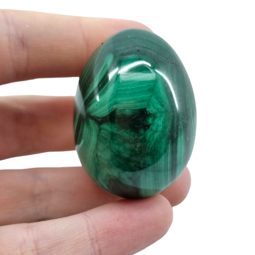 343295299_642483854410477_3872024862168312539_n