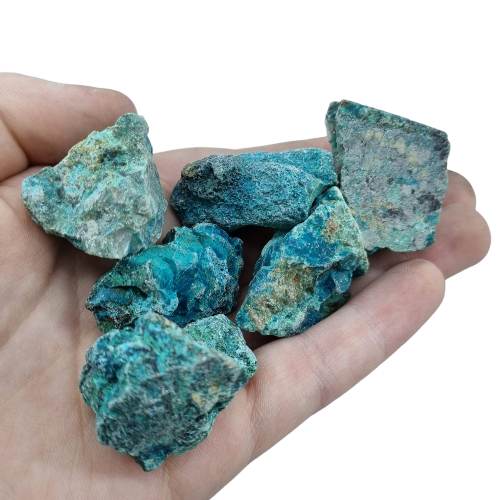 343332324_791968488936833_5830832895111700137_n