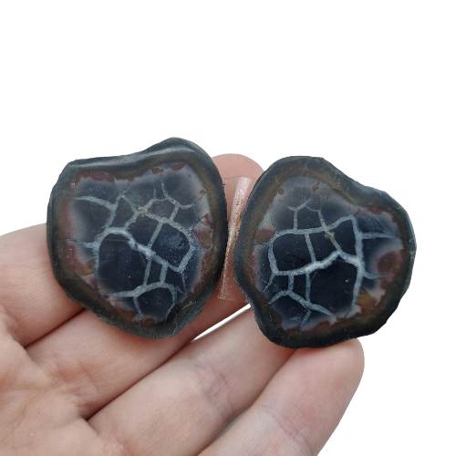 Septarian Pairs