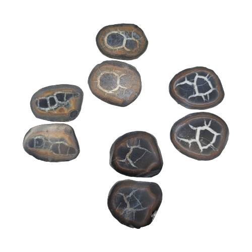 Septarian Pair Pack