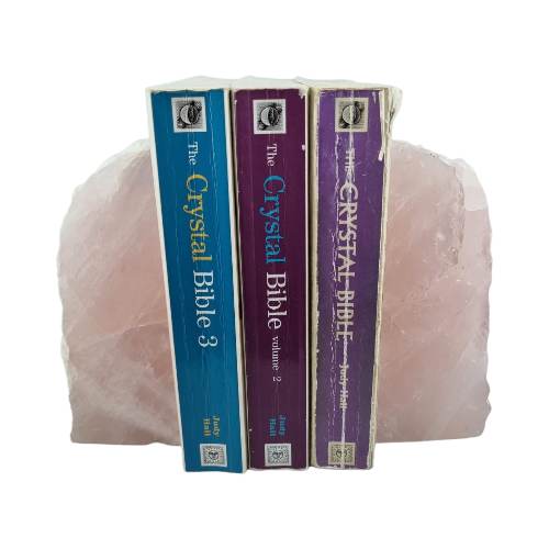 343456679_246965391077256_6408291585787248991_n