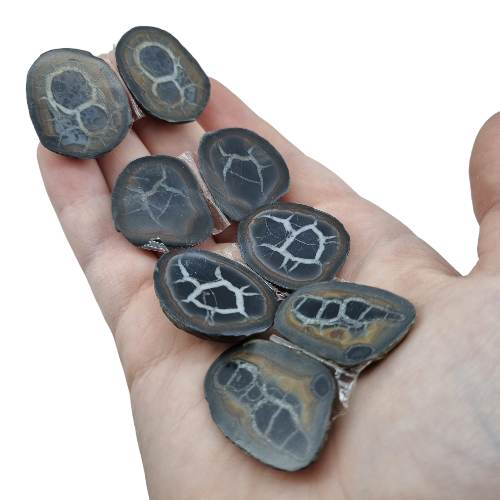 343482192_100468143055088_4502145402487251099_n