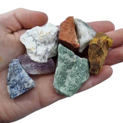 343776152_210080791794105_902597406607041413_n