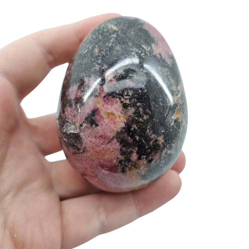 345248758_183331657656422_3578535899175899078_n